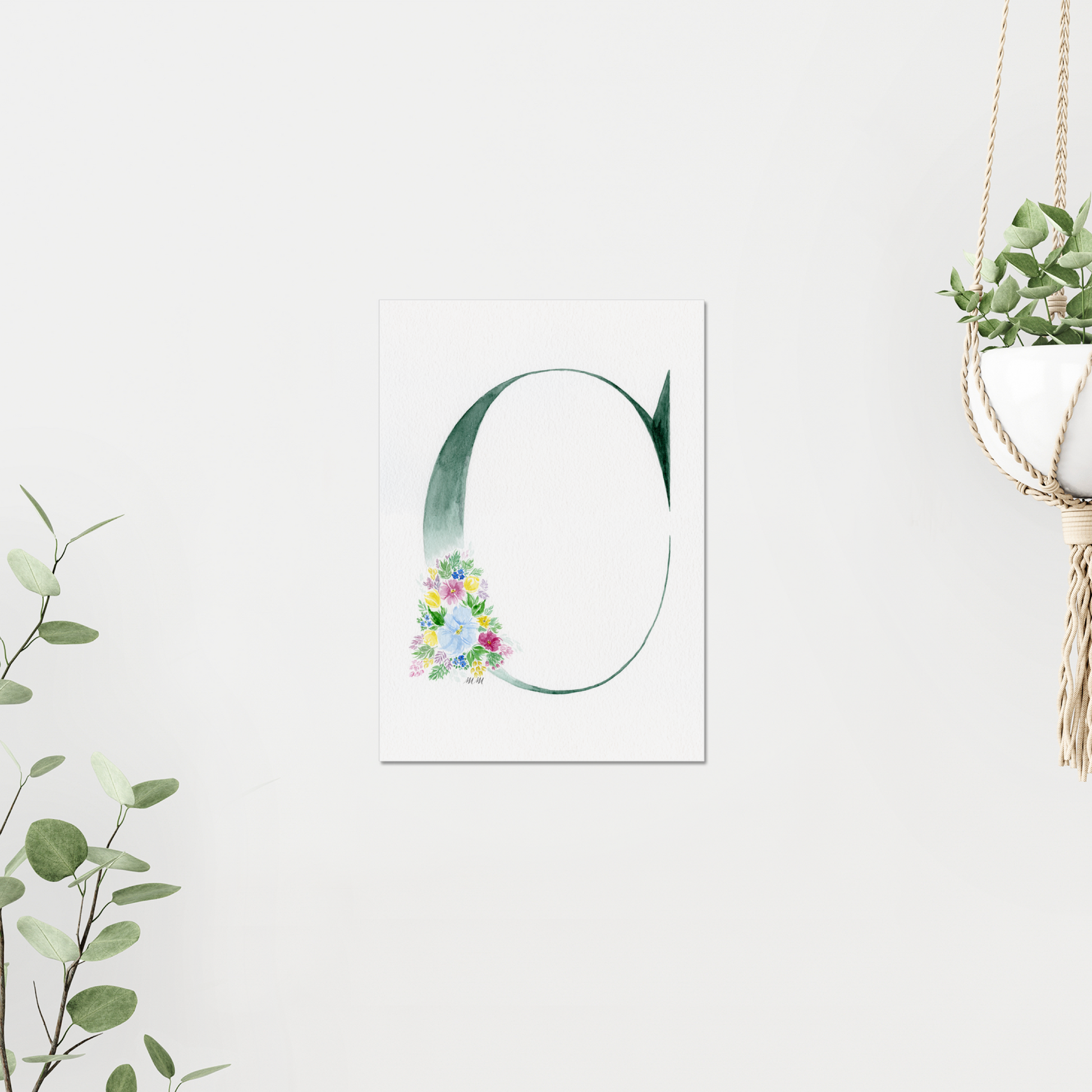 Decorative letter 'C' with floral design on a white background, surrounded by greenery. On white wall surrounded by plants. Made with watercolours.
